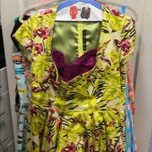 Alfreda pinup girl dress 2X